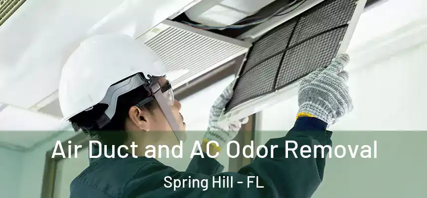 Air Duct and AC Odor Removal Spring Hill - FL