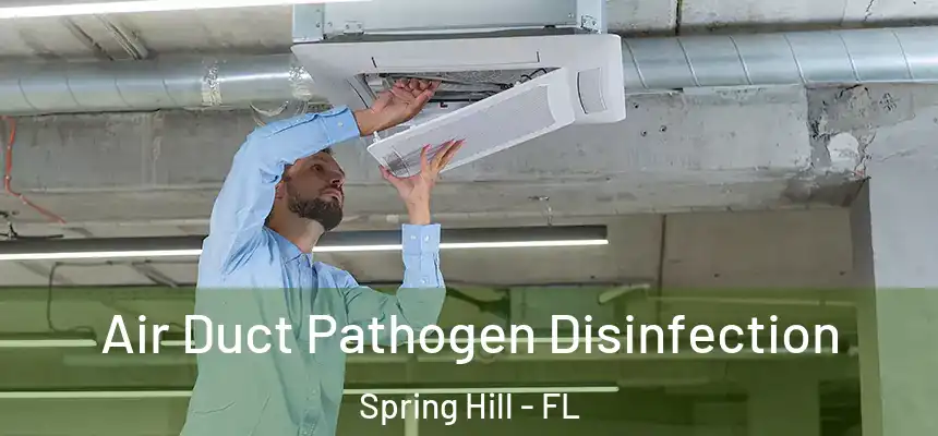  Air Duct Pathogen Disinfection Spring Hill - FL