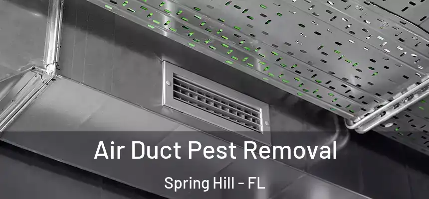  Air Duct Pest Removal Spring Hill - FL