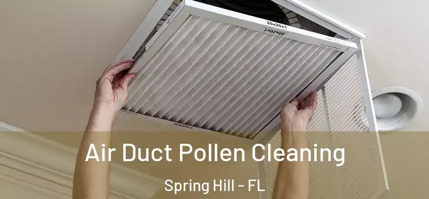  Air Duct Pollen Cleaning Spring Hill - FL