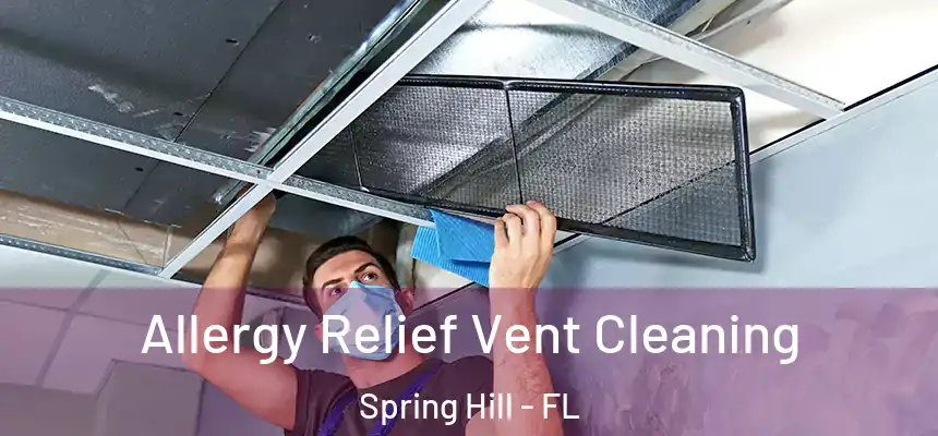 Allergy Relief Vent Cleaning Spring Hill - FL