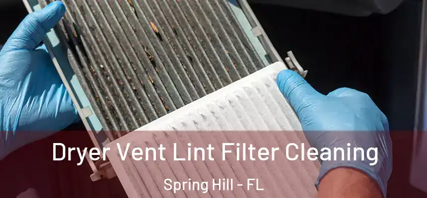  Dryer Vent Lint Filter Cleaning Spring Hill - FL