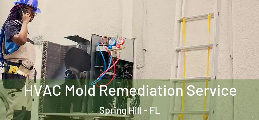 HVAC Mold Remediation Service Spring Hill - FL