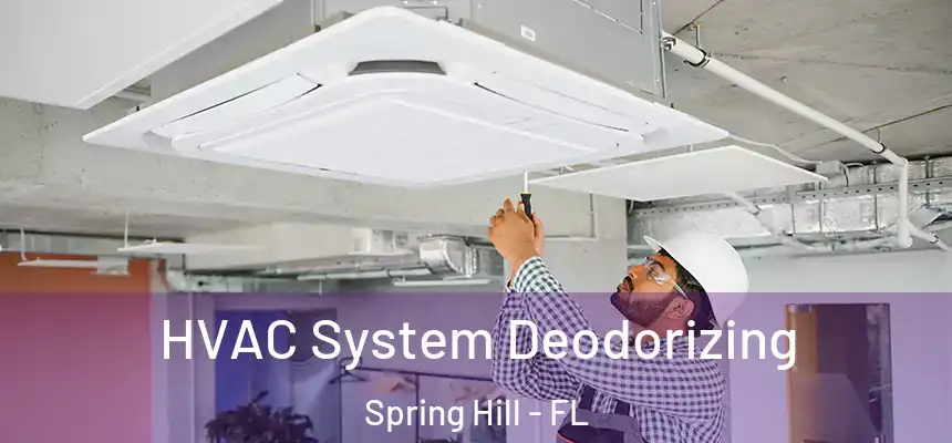  HVAC System Deodorizing Spring Hill - FL