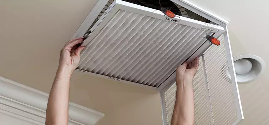 Preventive Cockroach-Proofing for Ducts in Spring Hill