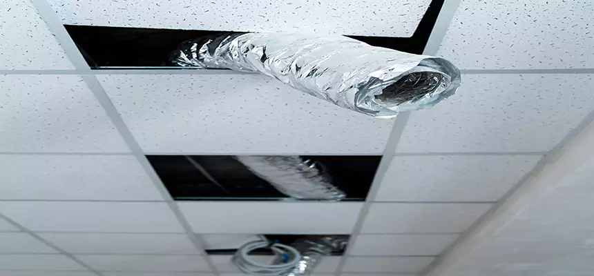 Our Air Duct Pet Hair Removal Services in Spring Hill, FL