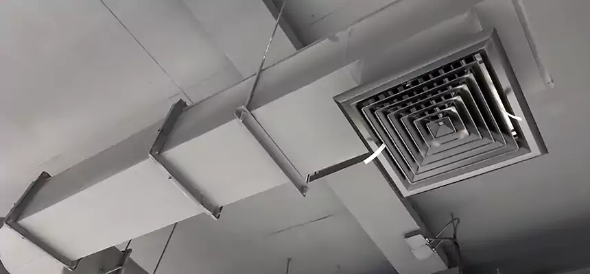 Our Pest Removal From Ducts Services in Spring Hill, FL