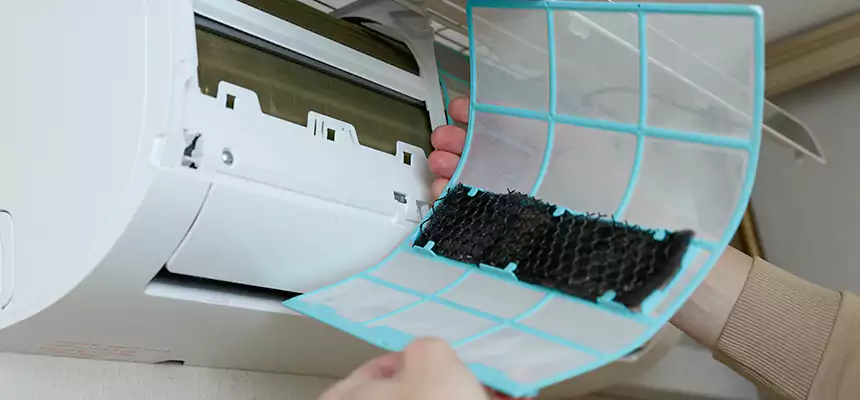 Gentle Ductwork Odor-Control Pet Dander Duct Cleaning in Spring Hill, FL