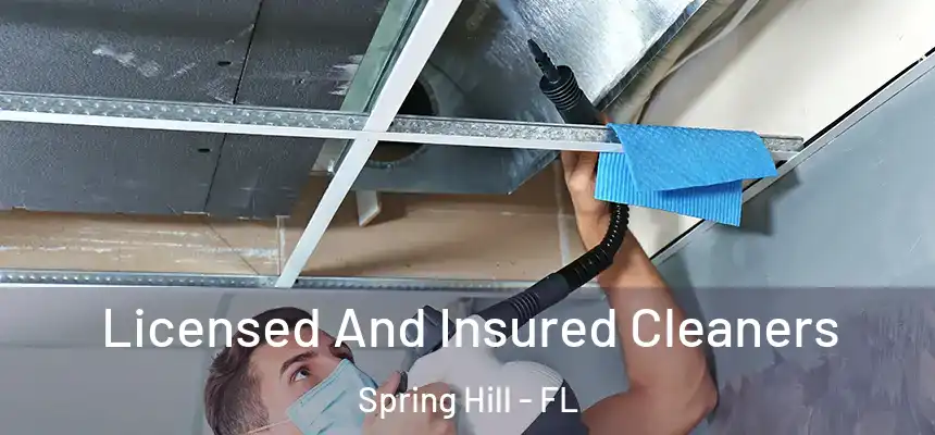  Licensed And Insured Cleaners Spring Hill - FL