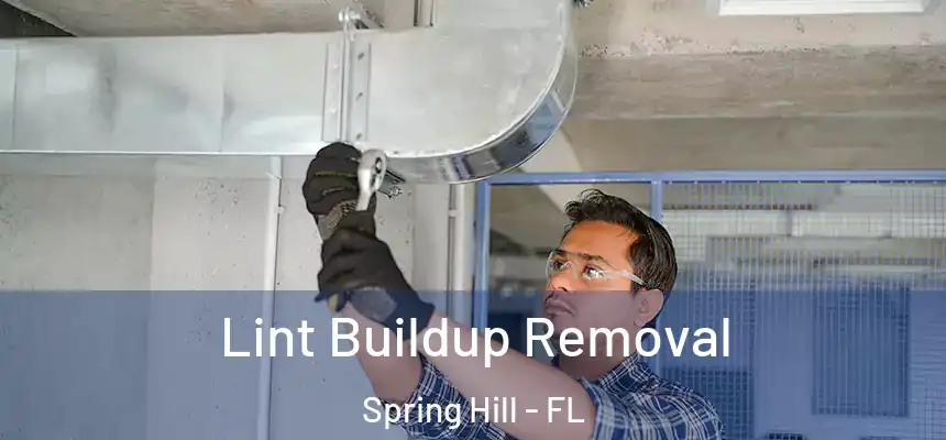  Lint Buildup Removal Spring Hill - FL