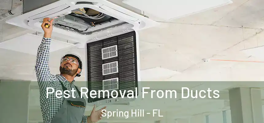  Pest Removal From Ducts Spring Hill - FL