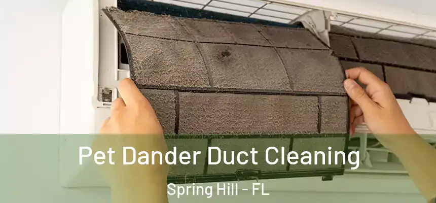  Pet Dander Duct Cleaning Spring Hill - FL
