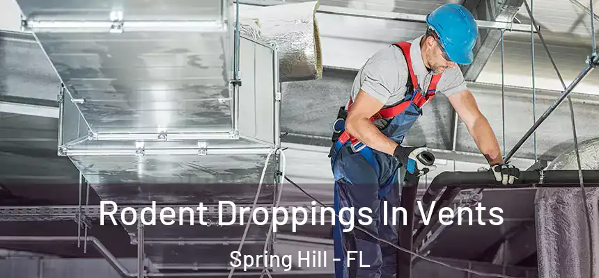  Rodent Droppings In Vents Spring Hill - FL