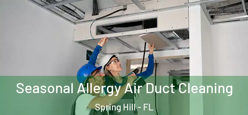  Seasonal Allergy Air Duct Cleaning Spring Hill - FL