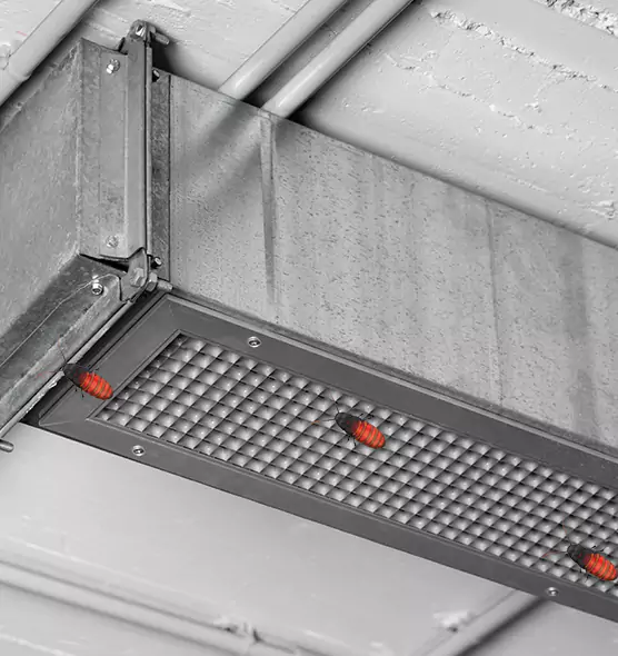 About Air Duct Cockroach Removal in Spring Hill, FL