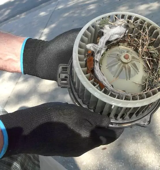 About Air Duct Rat Removal in Spring Hill, FL