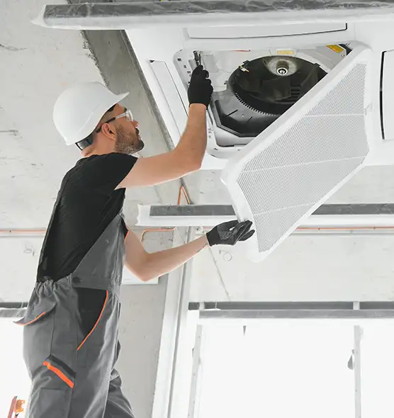 About Air Duct Rodent Removal in Spring Hill, FL