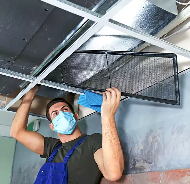 Why Homeowners Businesses Trust Us in Spring Hill, FL