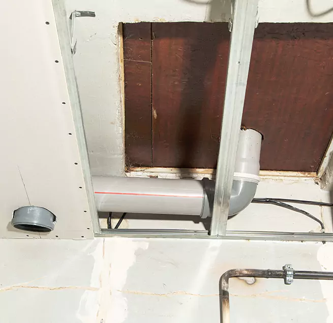 Why Homeowners & Businesses Trust Us in Spring Hill, FL?