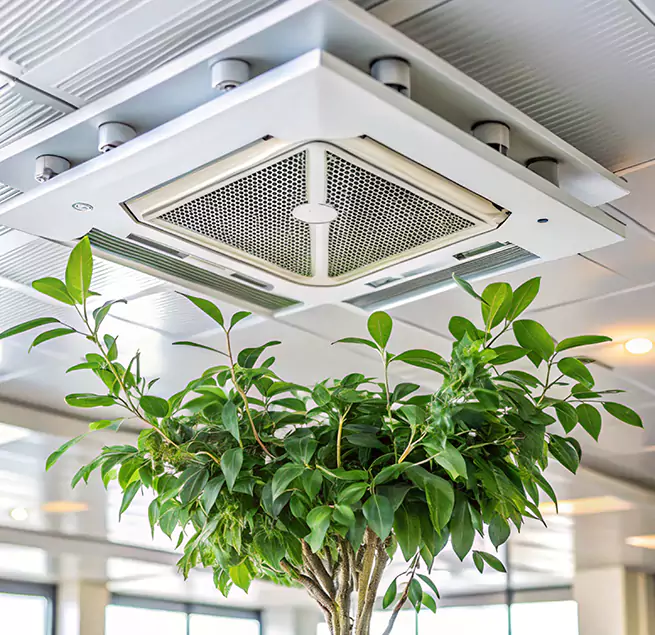 Why Homeowners & Businesses Trust Us in Spring Hill, FL?