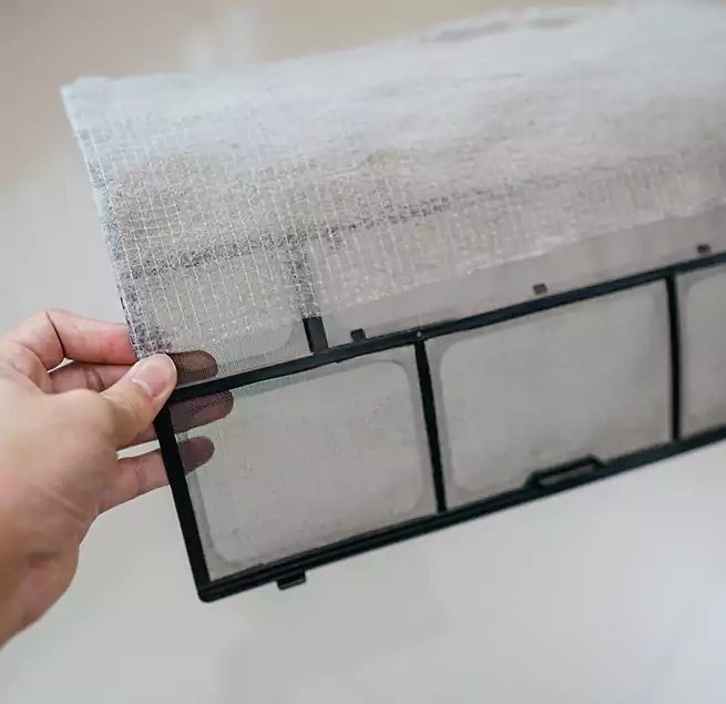 Why Homeowners & Businesses Trust Us in Spring Hill, FL?