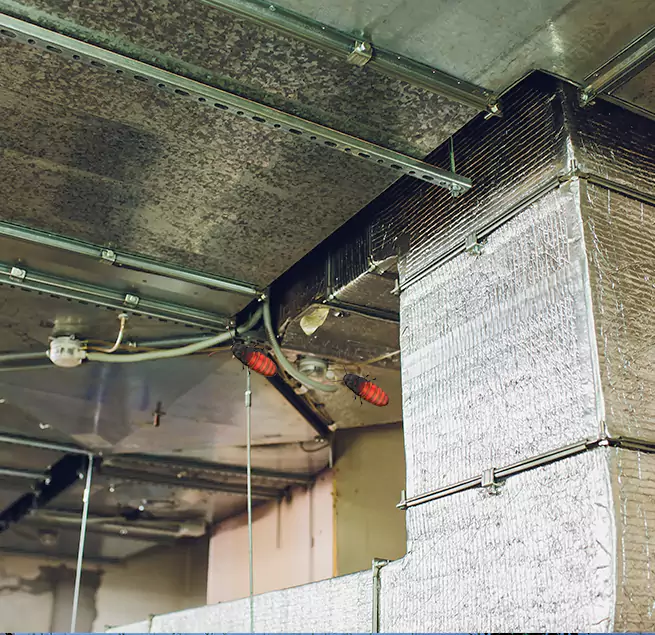 Why Homeowners & Businesses Trust Us Spring Hill, FL?