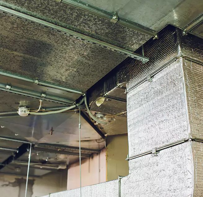 Why Homeowners & Businesses Trust Us in Spring Hill, FL?